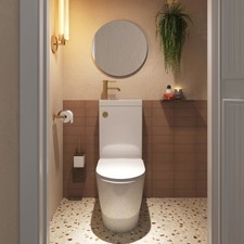 Toilet Basin Combo 2 in 1